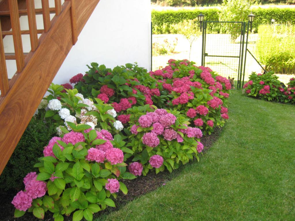La Bourgade Bed and Breakfast Estréelles Εξωτερικό φωτογραφία